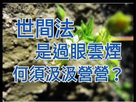 茉莉芬芳算命|【一窗景】世間法是過眼雲煙，何須汲汲營營於名利？(淨空法師。